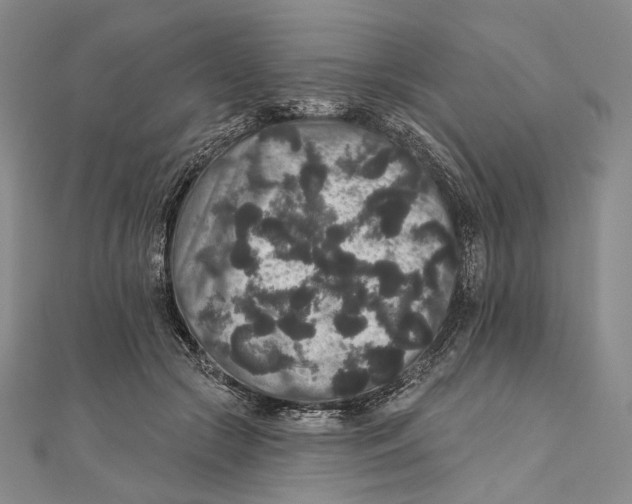 X0000111160553200907281155