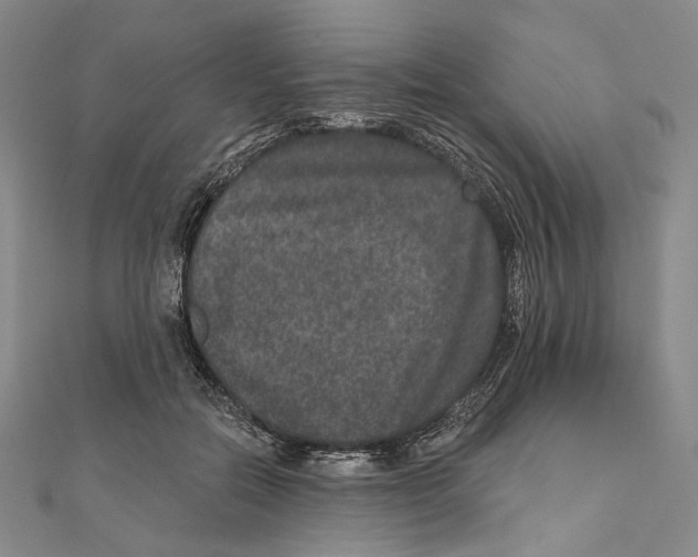 X0000111160554200907281155
