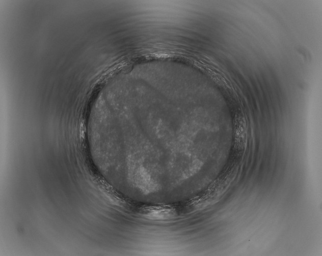 X0000111160555200907281155