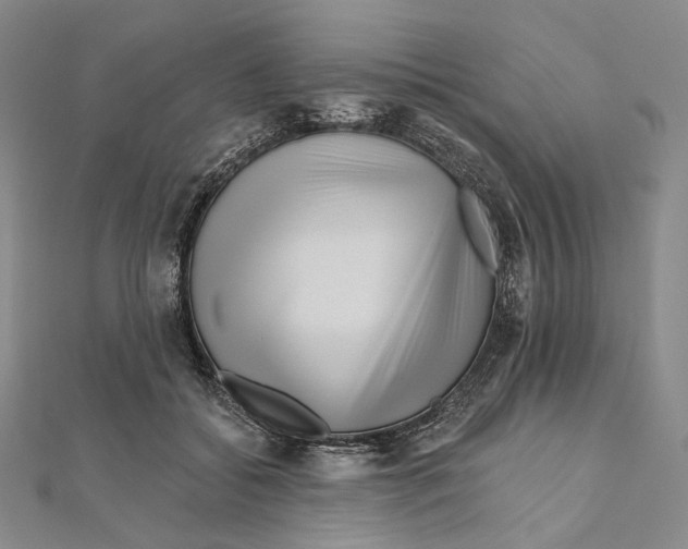 X0000111160556200907281155
