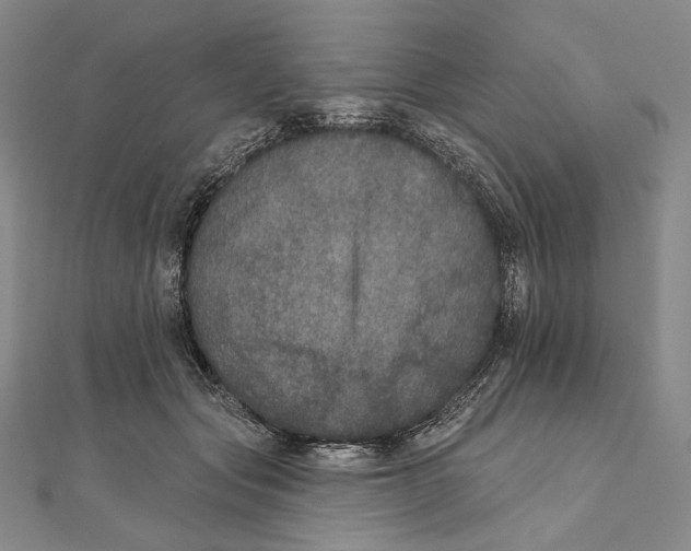 X0000111160557200907281155