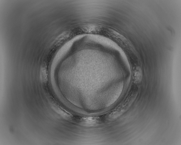 X0000111160558200907281155