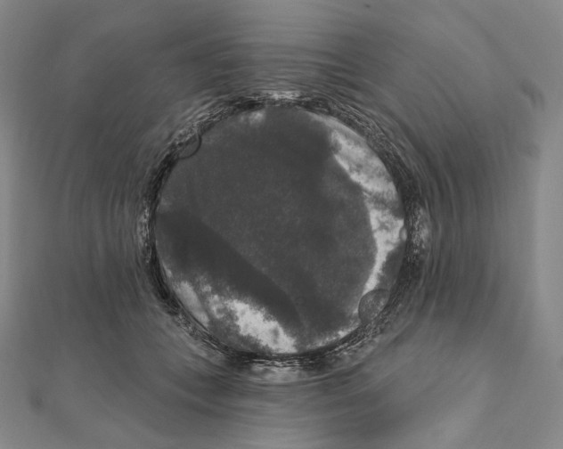 X0000111160559200907281155