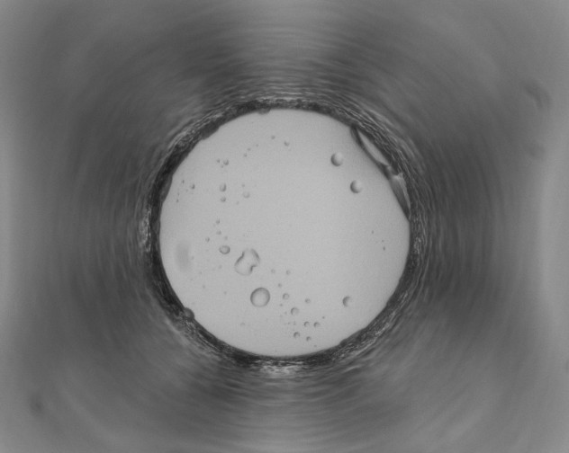 X0000111160560200907281155