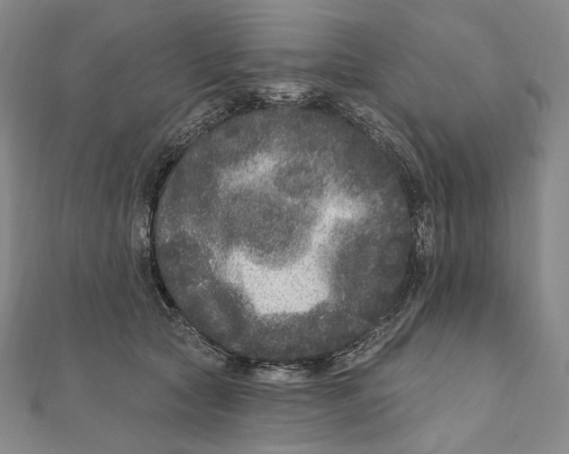 X0000111160561200907281155