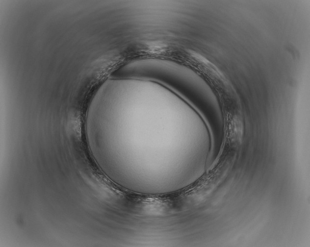 X0000111160562200907281155