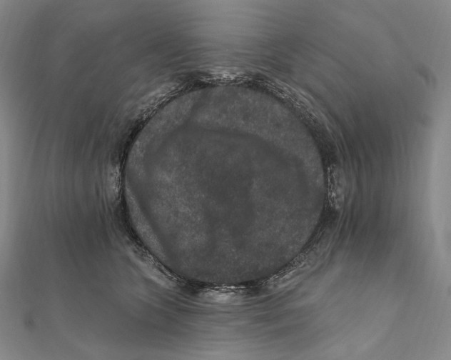 X0000111160563200907281155