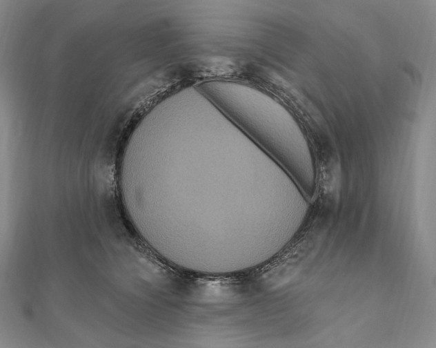X0000111160564200907281155