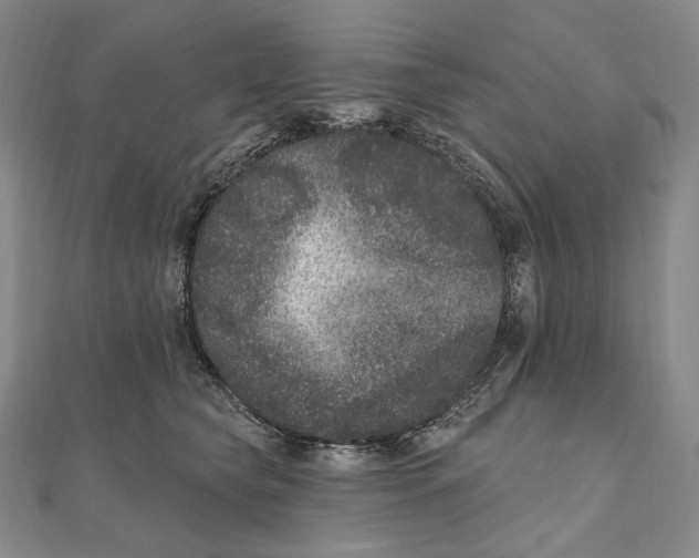 X0000111160565200907281155
