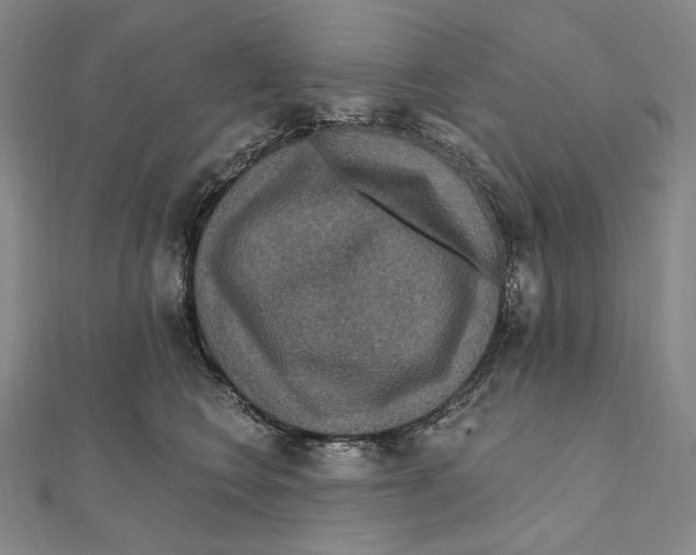 X0000111160566200907281155