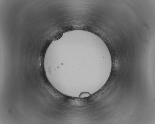X0000111160567200907281155