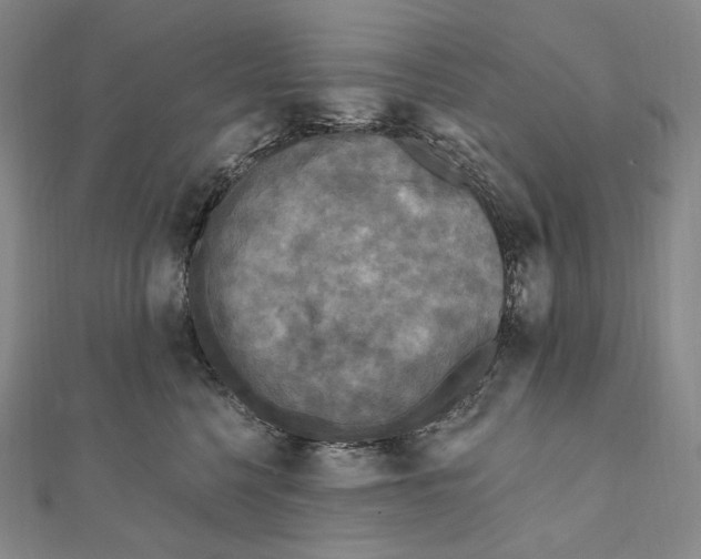 X0000111160568200907281155