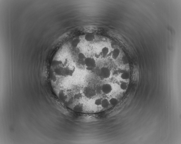 X0000111160569200907281155