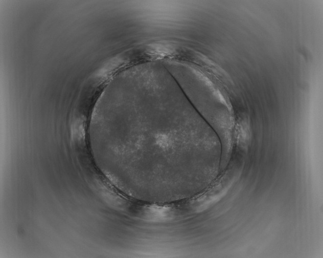 X0000111160570200907281155