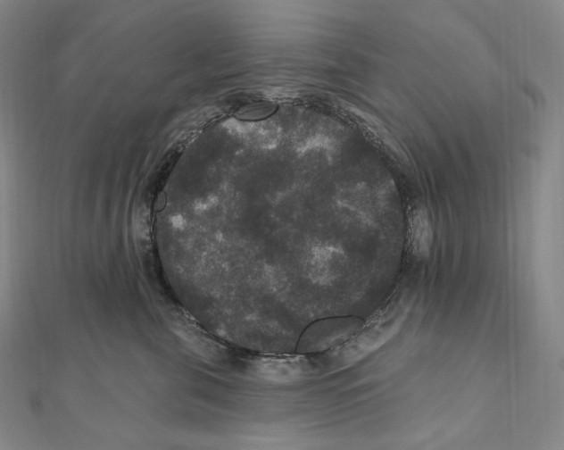X0000111160571200907281155