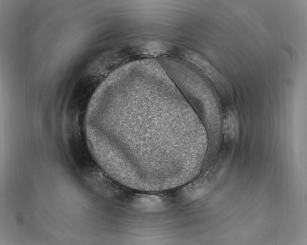 X0000111160572200907281155