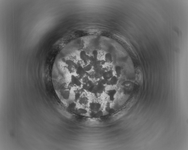X0000111160573200907281155