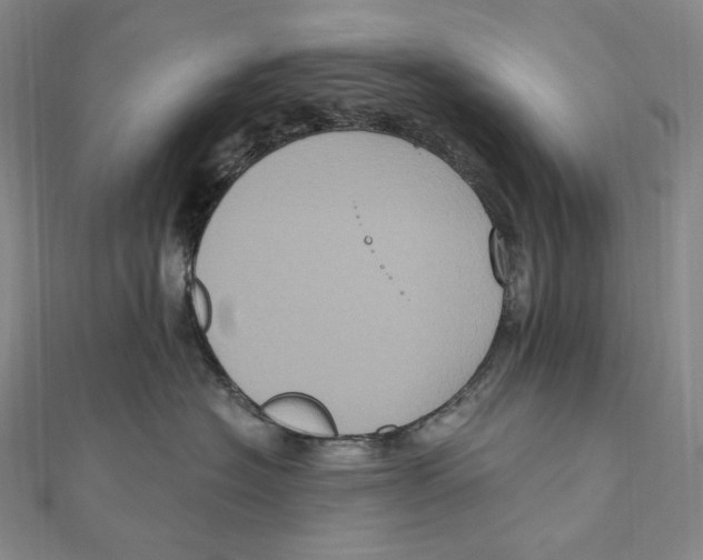 X0000111160574200907281155