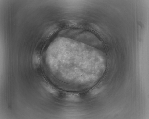X0000111160576200907281155