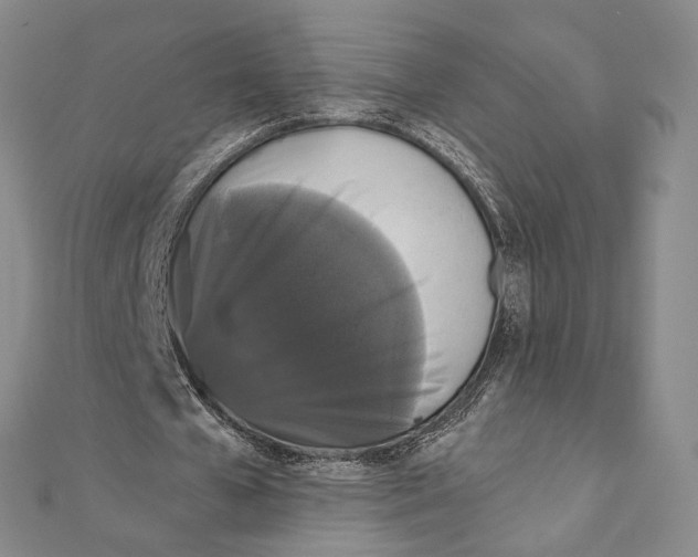 X0000111160577200907281155