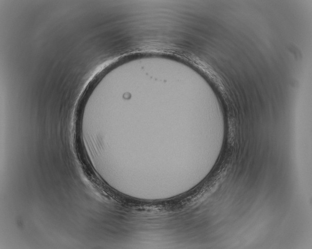 X0000111160580200907281155