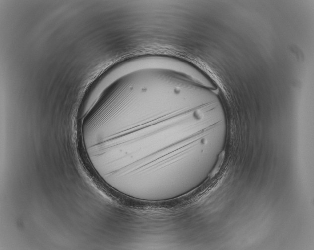 X0000111160581200907281155