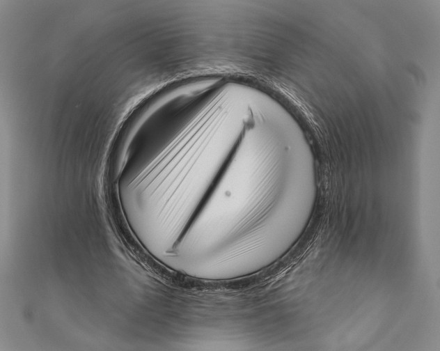 X0000111160583200907281155