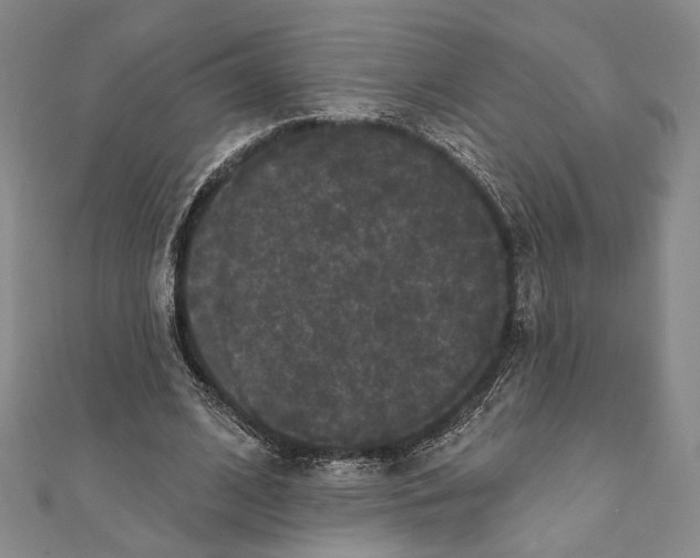 X0000111160584200907281155