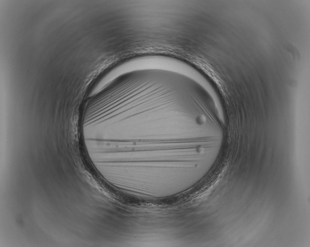 X0000111160585200907281155