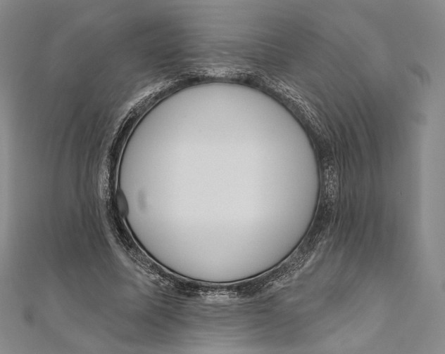 X0000111160587200907281155