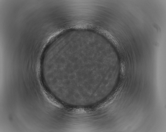 X0000111160588200907281155