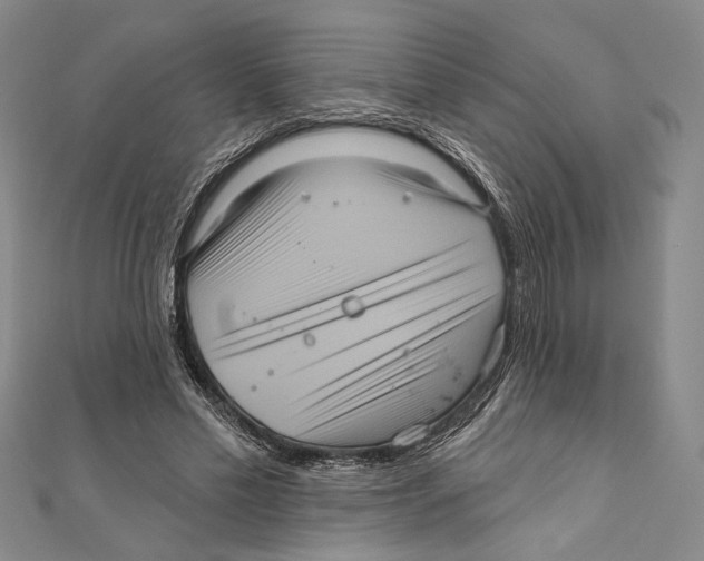 X0000111160589200907281155