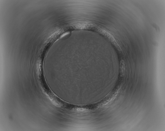 X0000111160590200907281155