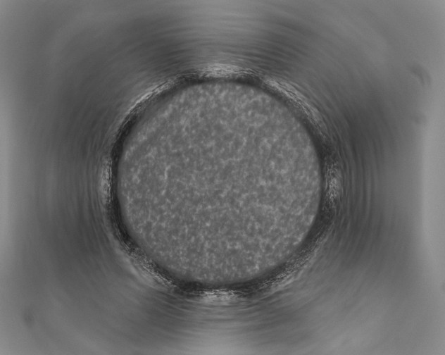 X0000111160591200907281155