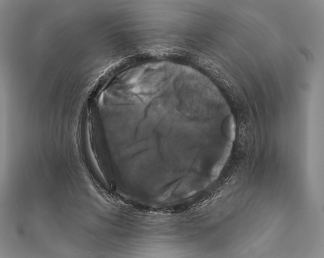 X0000111160592200907281155