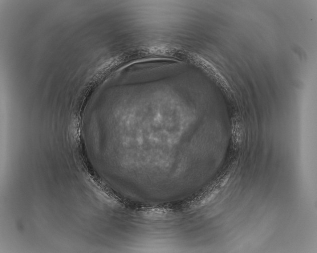 X0000111160593200907281155