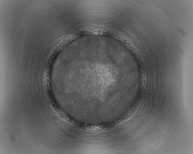 X0000111160594200907281155