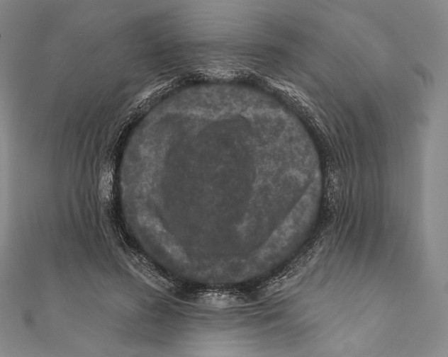X0000111160596200907281155