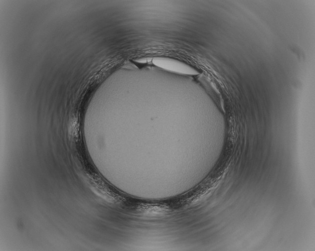 X0000111160597200907281155