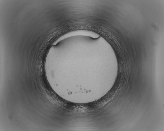 X0000111160599200907281155
