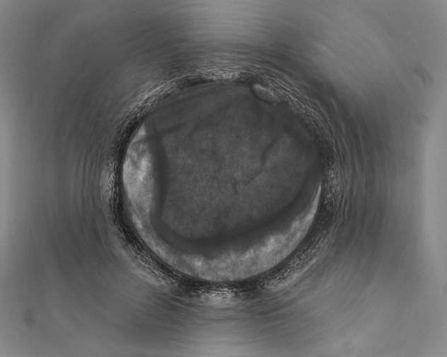 X0000111160600200907281155