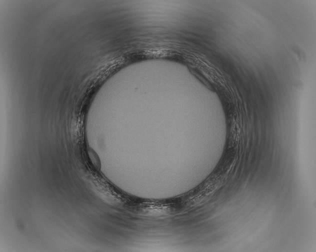 X0000111160601200907281155