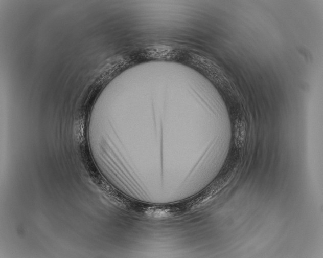 X0000111160602200907281155