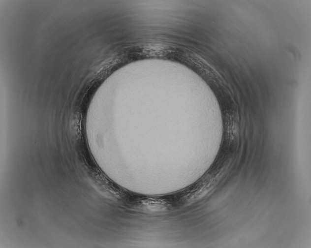 X0000111160603200907281155