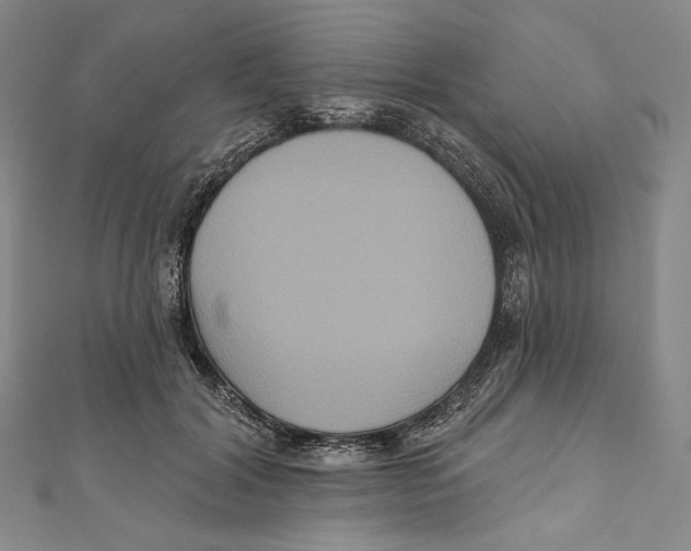 X0000111160604200907281155