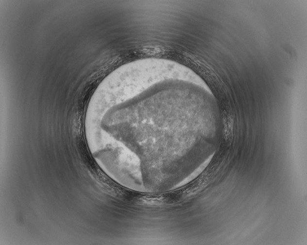 X0000111160606200907281154