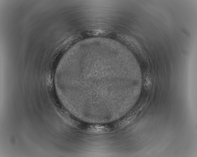 X0000111160607200907281154