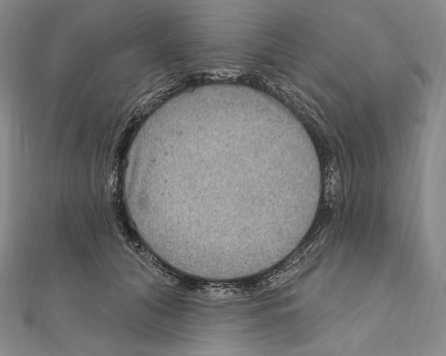 X0000111160608200907281154