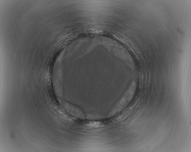 X0000111160609200907281154