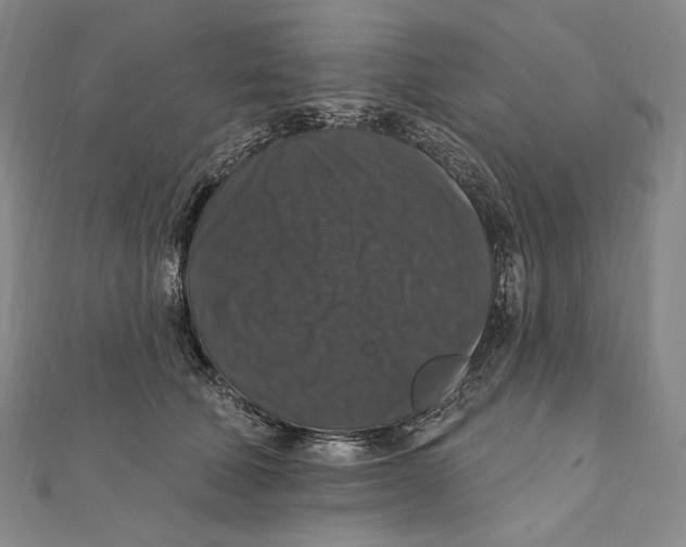 X0000111160610200907281154